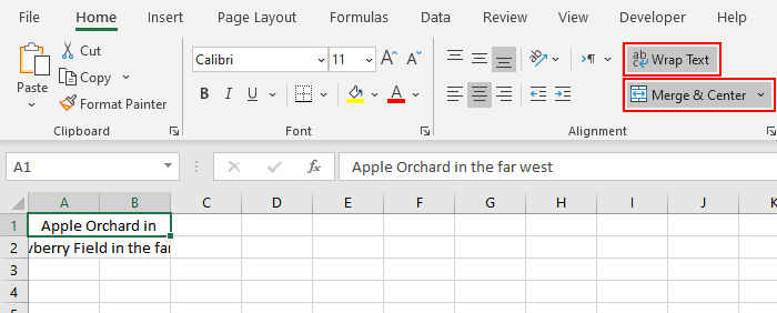 How To Wrap Text In Excel - (2 Easy Ways + Shortcut) 12 Merged Cells