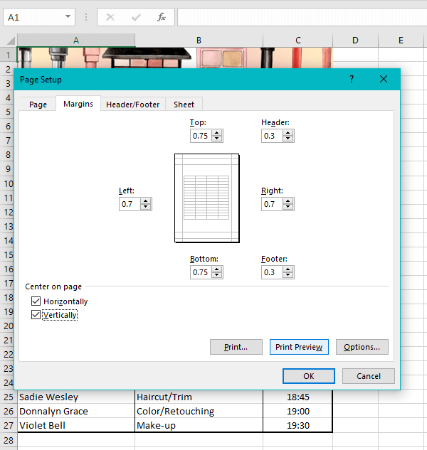 How to Center a Worksheet Horizontally & Vertically in Excel 17 Using Custom Margins