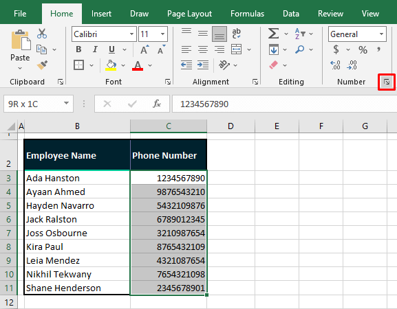 How to Format Phone Number in Excel (3 Quick Ways) 3 Using Built-in Excel Format
