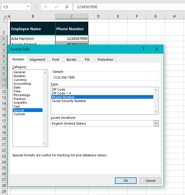 How to Format Phone Number in Excel (3 Quick Ways) 6 Using Built-in Excel Format