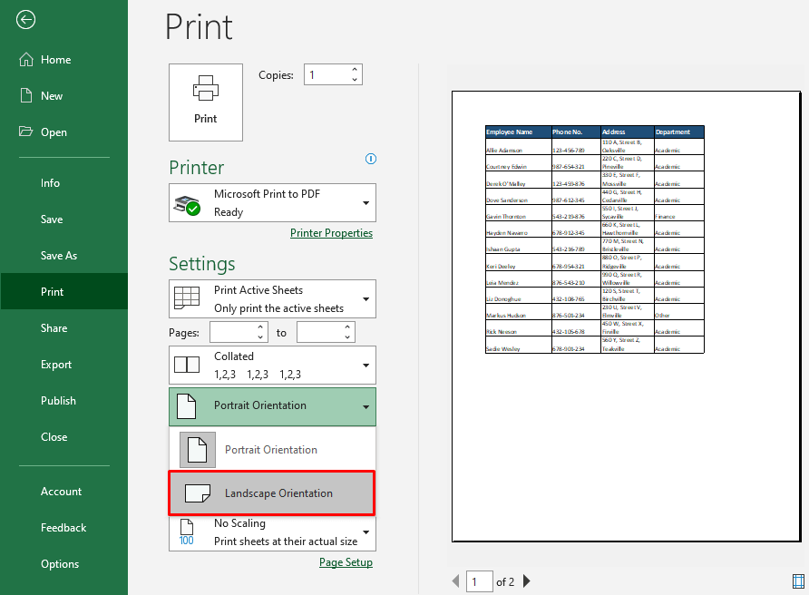 Using Print Preview