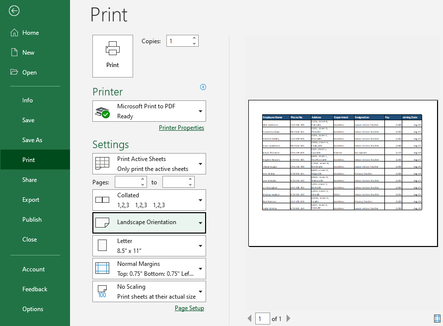 Using Print Preview